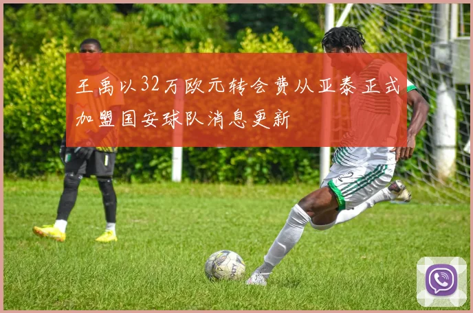 王禹以32万欧元转会费从亚泰正式加盟国安球队消息更新