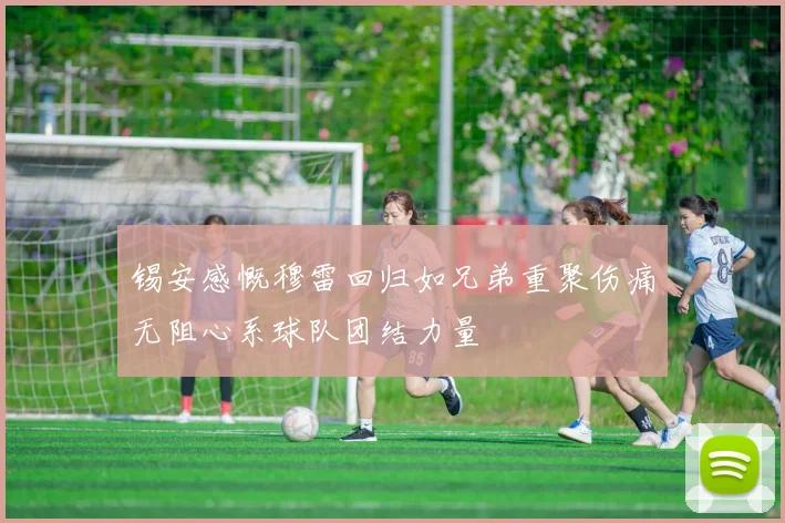 锡安感慨穆雷回归如兄弟重聚伤痛无阻心系球队团结力量