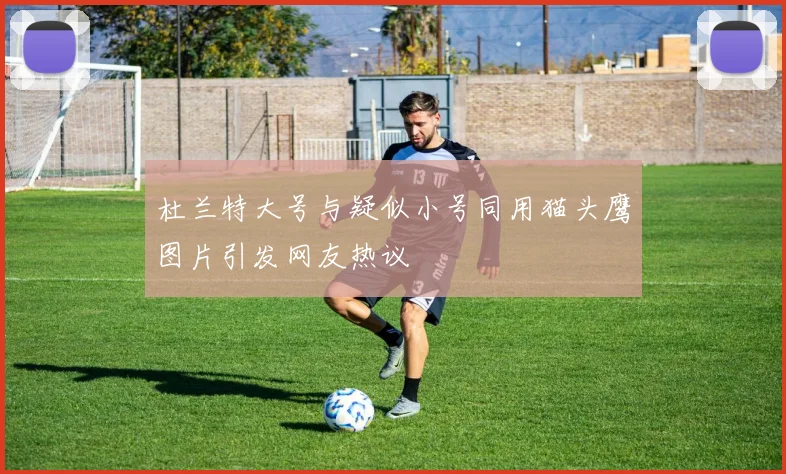 杜兰特大号与疑似小号同用猫头鹰图片引发网友热议